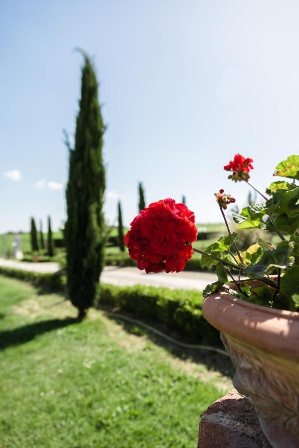 Podere San Giuseppe Castiglione del Lago Εξωτερικό φωτογραφία