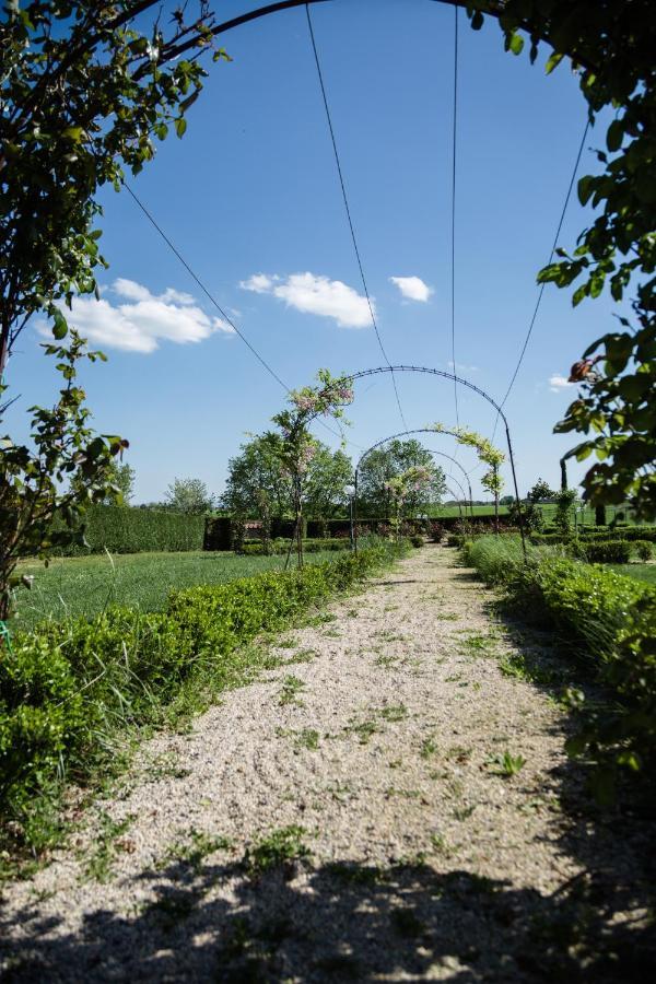 Podere San Giuseppe Castiglione del Lago Εξωτερικό φωτογραφία