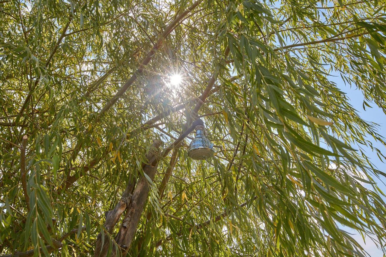 Podere San Giuseppe Castiglione del Lago Εξωτερικό φωτογραφία